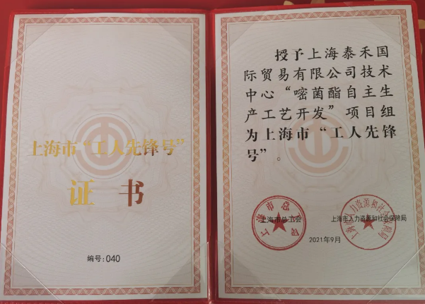 ʡ׾տĿ 2021Ϻйȷšҳƺ